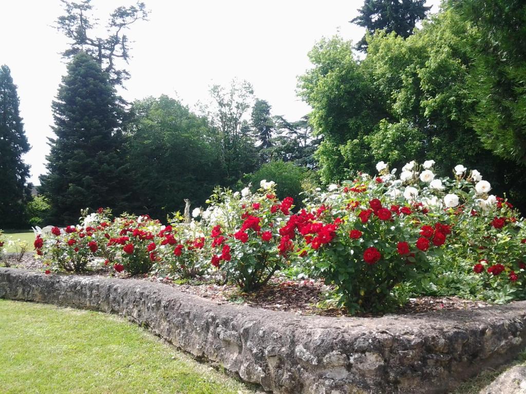 La Renaudière Chenonceaux Esterno foto