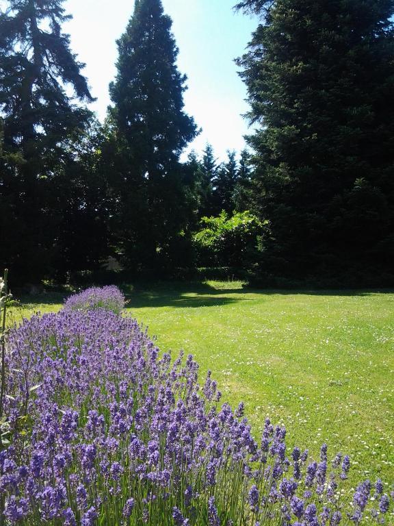 La Renaudière Chenonceaux Esterno foto