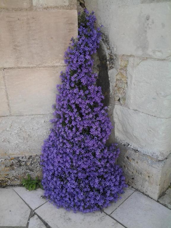 La Renaudière Chenonceaux Esterno foto